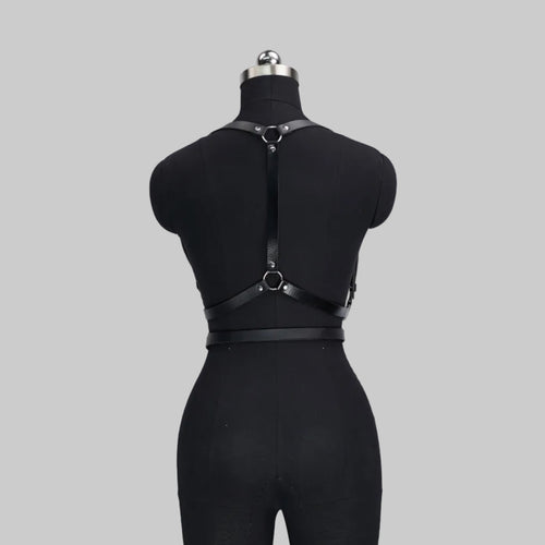 ECHO HARNESS