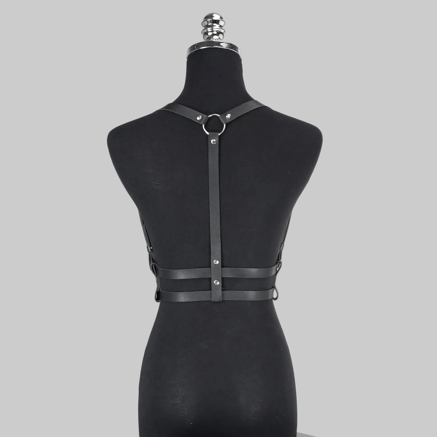 POLARIS HARNESS
