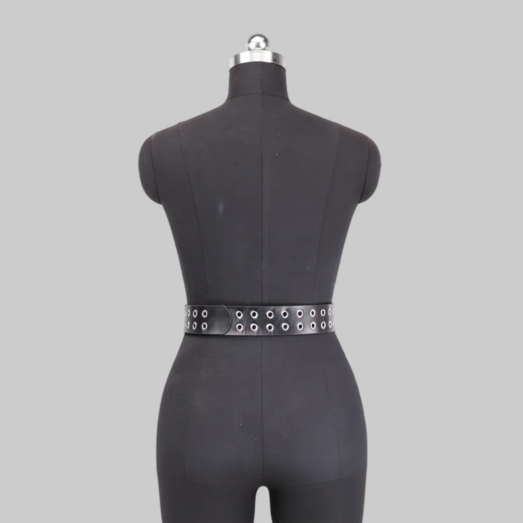 MAJOR HARNESS