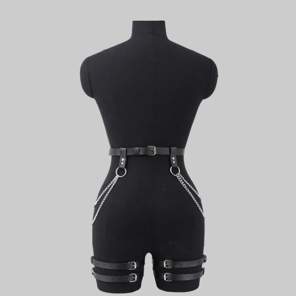 CYGNUS HARNESS
