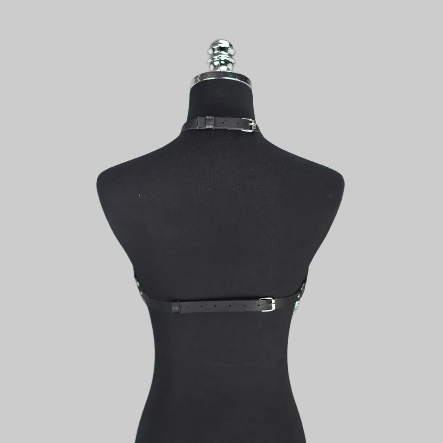 ENARA HARNESS