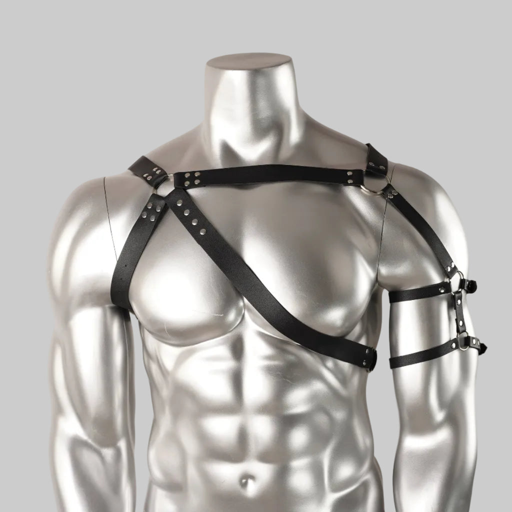 SHADOW RAIDER HARNESS