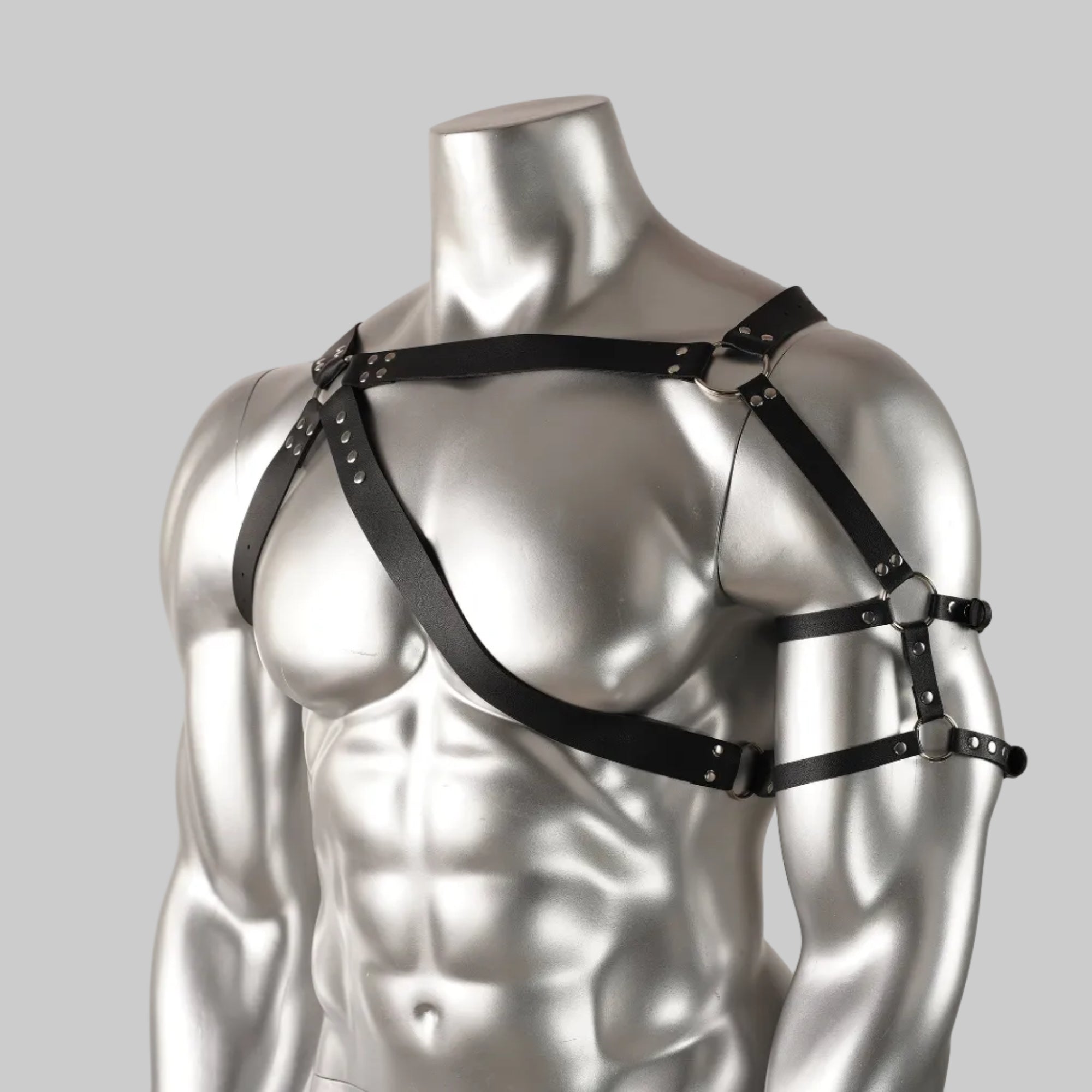 SHADOW RAIDER HARNESS