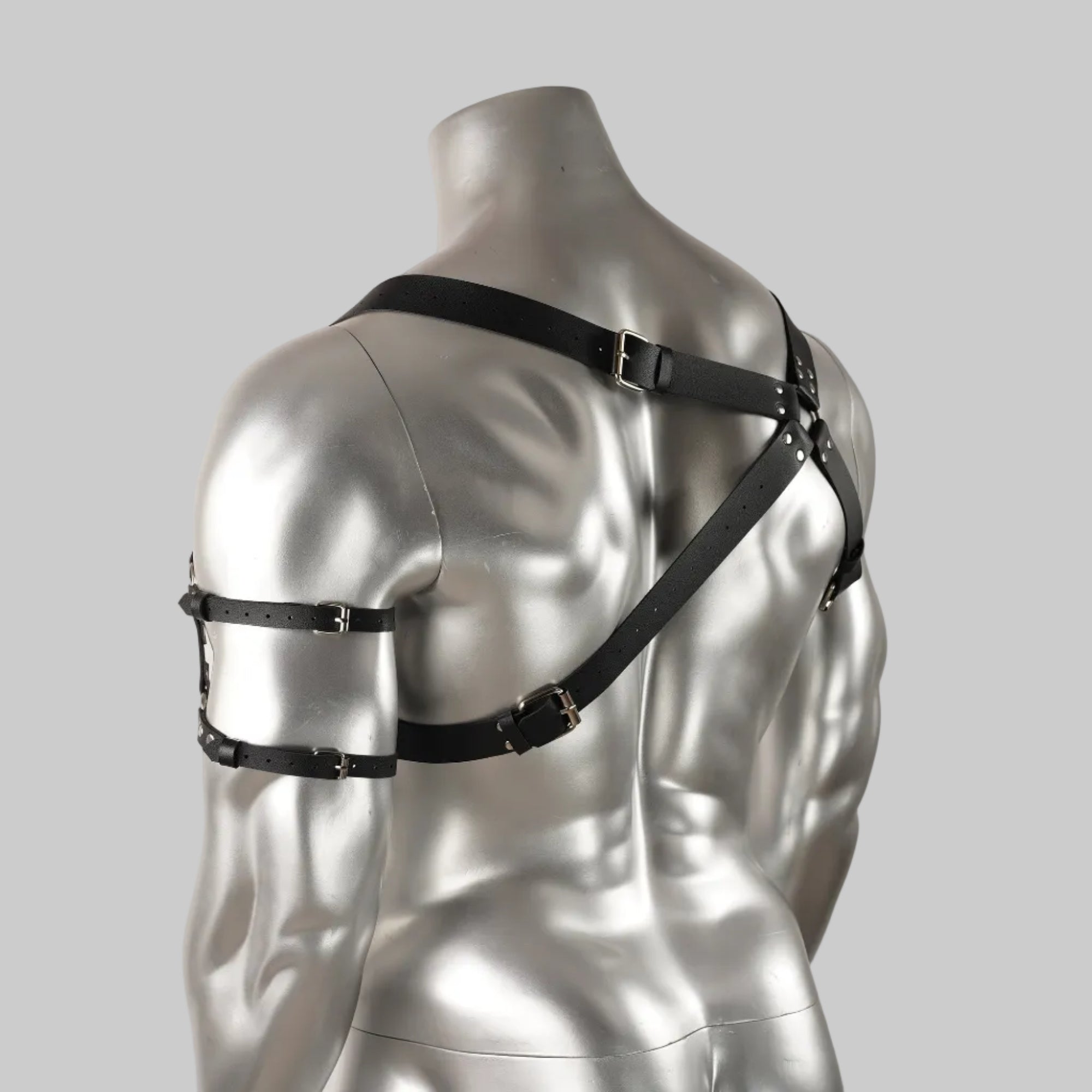 SHADOW RAIDER HARNESS