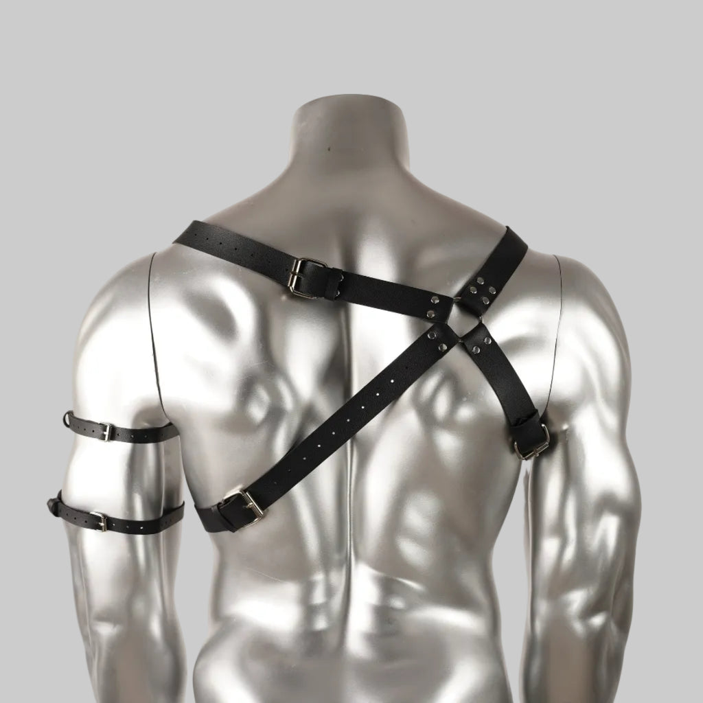 SHADOW RAIDER HARNESS