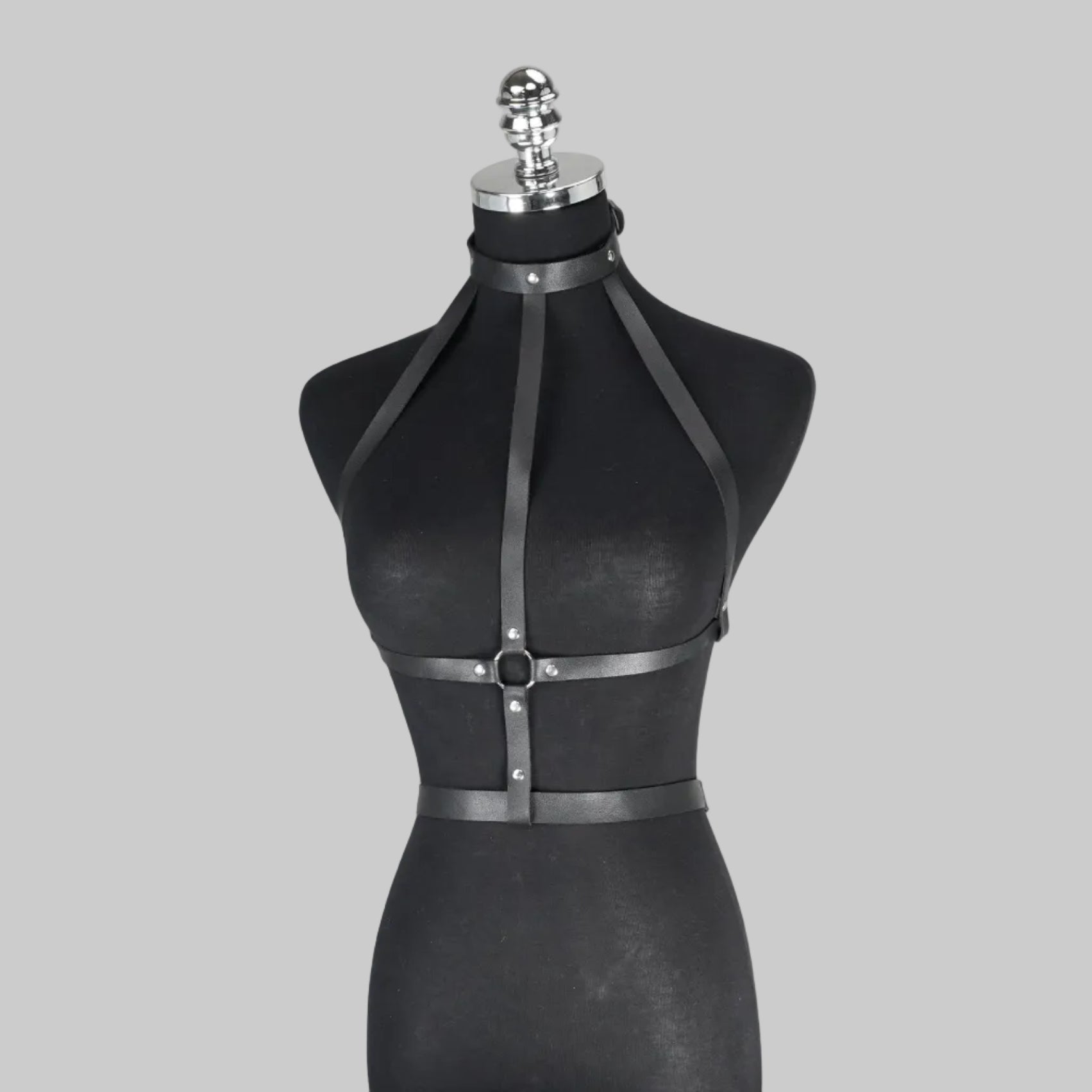 RAINY HARNESS