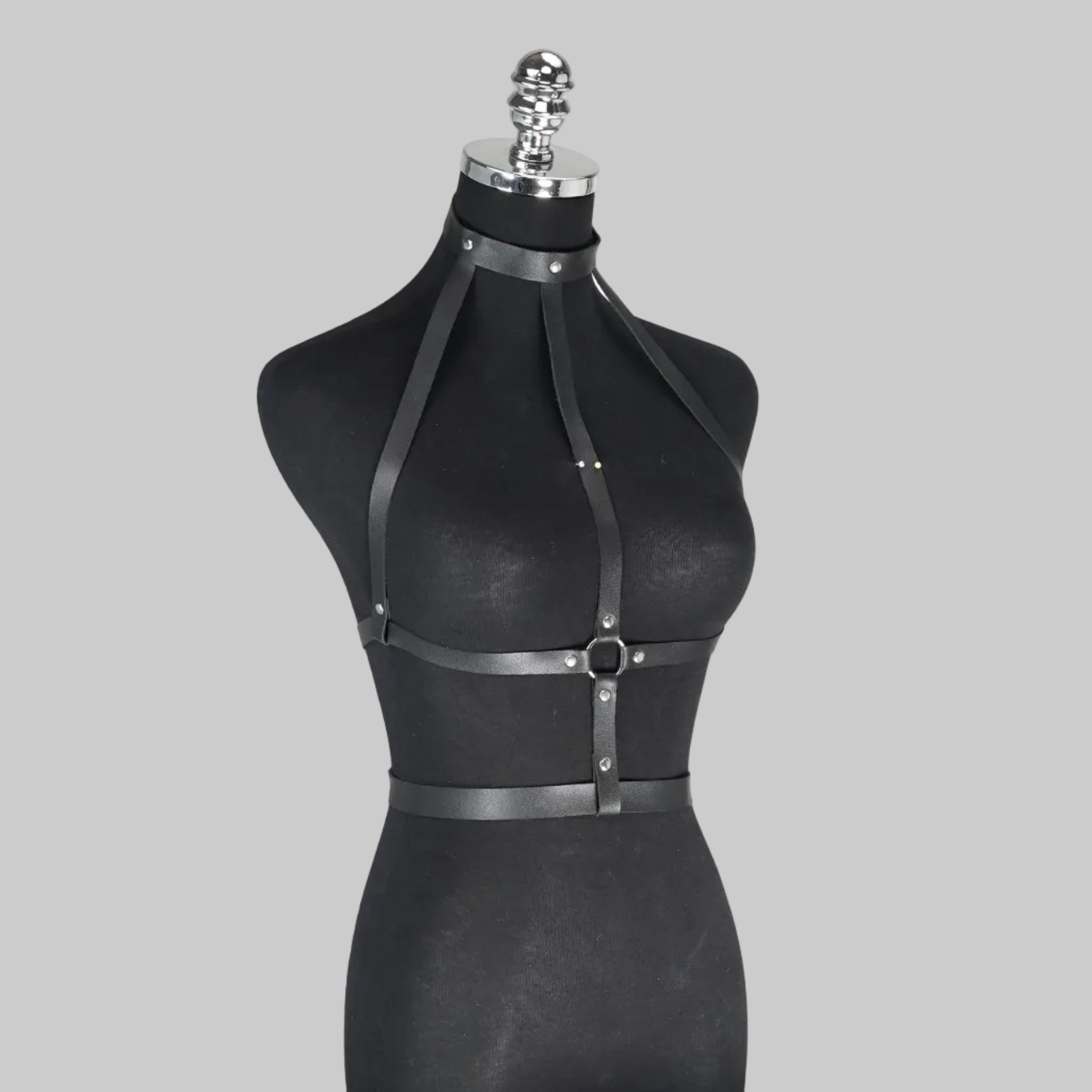 RAINY HARNESS