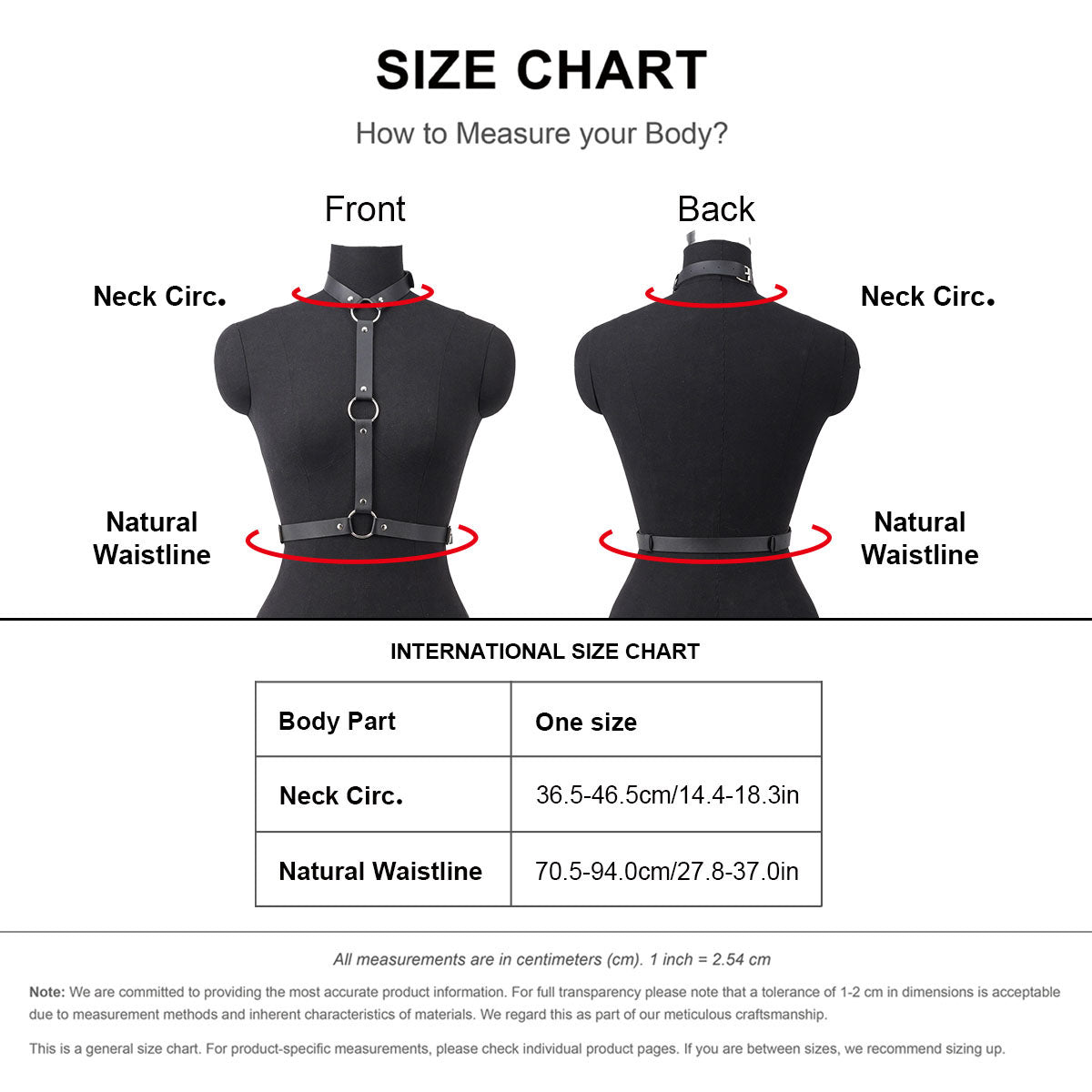ELORYN HARNESS