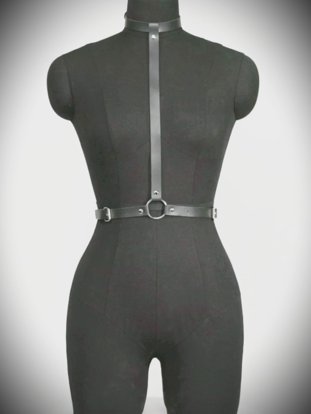 NYXEN HARNESS