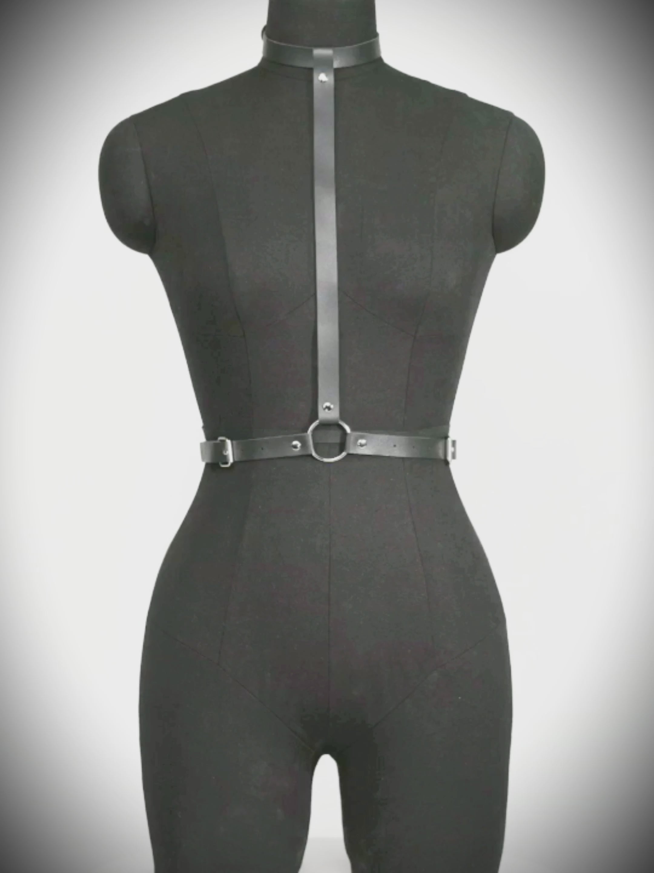 NYXEN HARNESS